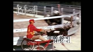 1950s Ostrich Riding Vintage [upl. by Soigroeg]