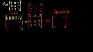 Exemple dinversion de matrice de taille 3x3 [upl. by Englebert]