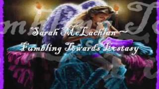 Sarah McLachlan  Fumbling Towards Ecstasy Lyrics [upl. by Barrington]