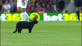 Gato negro en el Camp Nou [upl. by Lunsford723]