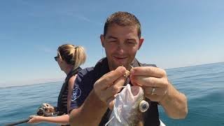 Sea Fishing Cornwall  Mixed Species fishing with the family [upl. by Gehlbach]