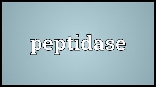 Peptidase Meaning [upl. by Llenaj]