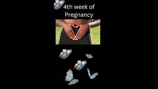 Week 4 in pregnancy pregnancyjourneyfertilityawareness reproduction MommyBabyPlanet [upl. by Dorwin]