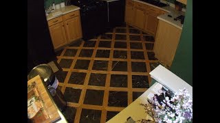 Mix Hardwood and Tile flooring Hybrid Flooring [upl. by Ysle]