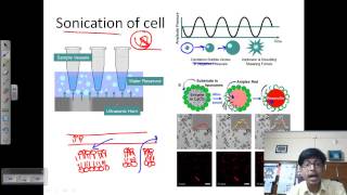 Sonication process [upl. by Sapphira]