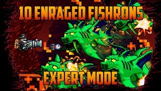 Terraria  10 Enraged Duke Fishrons in Hell Bug [upl. by Norret]