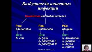 Возбудители бактериальных и вирусных инфекций Бадлеева МВ  1 лекция [upl. by Anig]