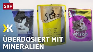 Katzenfutter im Test Jedes zweite Nassfutter ist ungesund  2017  Kassensturz  SRF [upl. by Lowell996]