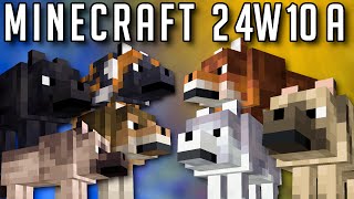 Minecraft Snapshot 24w10a  8 Nouveaux Loups et Chiens [upl. by Noremmac]