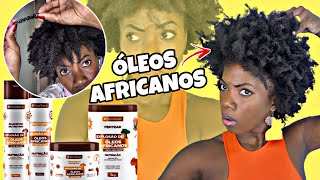 EXPLOSÃO DE ÓLEOS AFRICANOS DEIXOU MEU CABELO ASSIM [upl. by Andromada689]