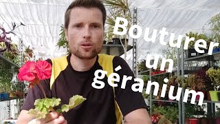 TUTO Bouturer des géraniums [upl. by Auqinal]