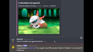 Pokétwo Autocatcher Tutorial  UNDETECTABLE AUTOCATCHER [upl. by Callan]