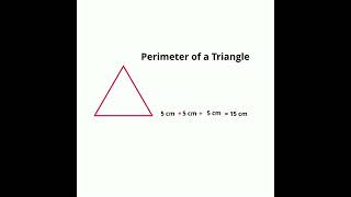 Finding Perimeter of Polygons [upl. by Omolhs527]