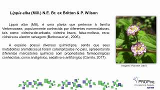 Avaliação da atividade antiviral do óleo essencial de Lippia sp contra o HSV 1 cepa KOS 1 [upl. by Caria]