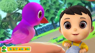 Chidiya Rani Badi Sayani चिड़िया रानी Hindi Rhymes for Babies and Kindergarten Videos [upl. by Massimiliano]