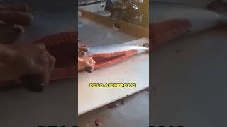 Corte profesional del salmón 🐟 [upl. by Anuska]