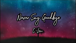 Never Say GoodbyeOfficial Lyric Video [upl. by Vedi]