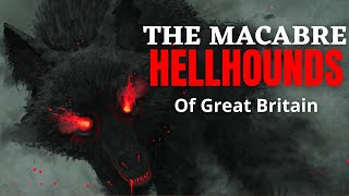 Black Dogs  The Terrifying Hellhounds From British Legends British Mythology Explained [upl. by Llerol152]