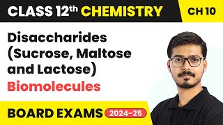 Disaccharides Sucrose Maltose and Lactose  Biomolecules  Class 12 Chemistry Chapter 10  CBSE [upl. by Eissak140]