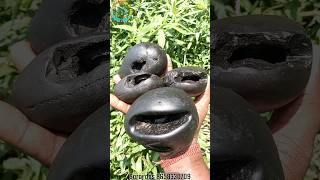 Shaligram different types of shaligram shila 💐💐 shorts short shortsfeed [upl. by Murvyn]