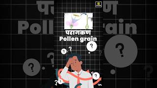 What is Pollen Grains biology pollengrain shorts  Krishnakant Sir [upl. by Haleemaj]