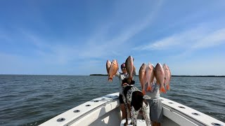 Bottom Fishing for Mutton Snapper SURPRISE HOG FISH [upl. by Eliseo]