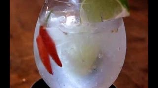 Spicy Gin and Tonic Recipe with HilahCooking  Show Me The Curry [upl. by Mamoun979]