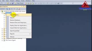 How to export and import database in SQL Server 2012 [upl. by Htebzile323]