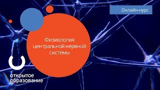 Физиология центральной нервной системы  МГУ имени М В Ломоносова [upl. by Mutua956]