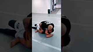 Submissions From Mount jiujitsu grappling bjj mma combatsport ufc martialarts nogi tapout [upl. by Iren]