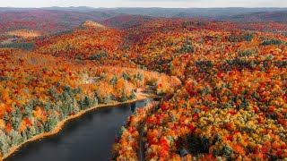 Peak Fall Foliage in New England Experience Autumn [upl. by Dara]