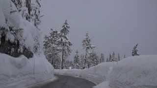 Mt Baker Road Gap Faceplant [upl. by Anoyek]