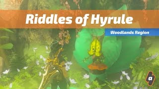 Riddles of Hyrule Todas las respuestas  The Legend of Zelda Breath of the Wild [upl. by Assirac]