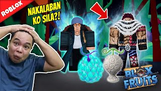 Kinalaban ko Malalakas na Devil Fruit User  Roblox Blox Fruits [upl. by Asirac]