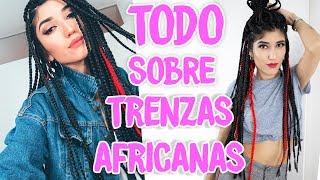 TRENZAS AFRICANAS ¿Como se lavan ¿Se cae tu pelo [upl. by Monjan213]