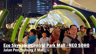 Eco Skywalk  Central Park Mall  NEO SOHO ❗ 1st walking around in 2024 at skybridge between 2malls [upl. by Lyndsie]