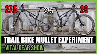 TRAIL BIKE MULLET EXPERIMENT  Vital Gear Show [upl. by Ynaffik627]