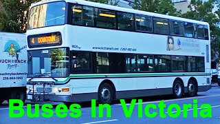 Buses in Victoria BC Volume 2 [upl. by Efinnej]