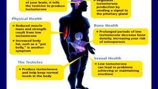 All You Need to Know About Testosterone From an Author and Long Term User [upl. by Navada]