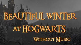 Harry Potter  Cozy Winter and Relax Snowfall Ambience at Hogwarts [upl. by Yentuoc]