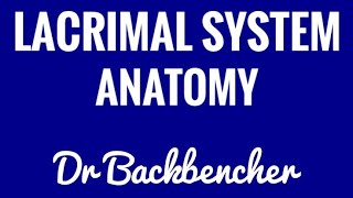 Anatomy and Physiology of the Lacrimal System  High Yield Ophthalmology Lectures Made Easy [upl. by Dedrick]