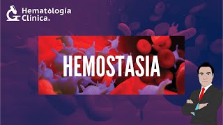 HEMOSTASIA [upl. by Leesa]