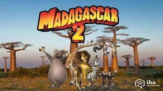 madagascar 2 gameplay ita [upl. by Ydissac355]