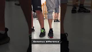 Ectomorph VS Mesomorph Genetics [upl. by Keven71]