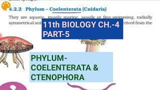 Class 11 BiologyCh4 Part5Phylum Coelenterata amp CtenophoraStudy with Farru [upl. by Goetz]