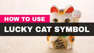 How to Use the Lucky Cat Symbol in Feng Shui [upl. by Simaj]