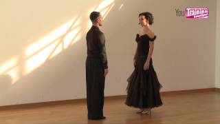 WDSF Technique Books  The Viennese Waltz [upl. by Oiramrej403]