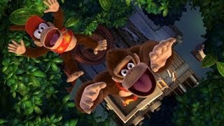 Donkey Kong Country Tropical Freeze 100 Walkthrough  World 13 Secret Exit 1B 14 [upl. by Wilmott]