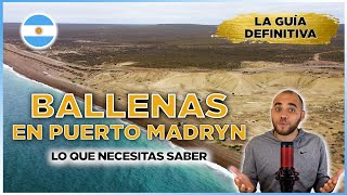 🇦🇷 ¿Querés ver BALLENAS en PUERTO MADRYN en Chubut en 2024 ¡Esta GUÍA DE VIAJE te resuelve TODO 🐳 [upl. by Eleon979]