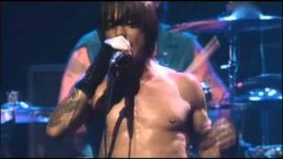 Red Hot Chili Peppers  Otherside  Live at Olympia Paris [upl. by Gregoire]